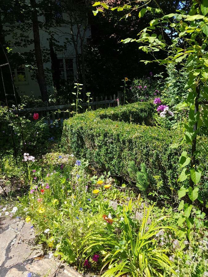 Martina'S Place ロッテンブーフ エクステリア 写真